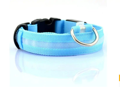 Pet Led Collar